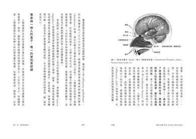嗅覺之謎：生物演化與免疫基因；社會學與文化史；品牌行銷到未來科技，探索氣味、記憶與情緒的嗅覺心理學。 平裝書 Paperback