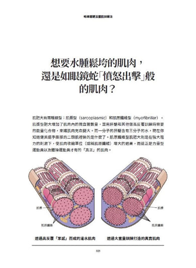 帕維爾硬派腹肌訓練法：讓核心肌群塊塊分明、極端強悍、充滿爆發力 平裝書 Paperback
