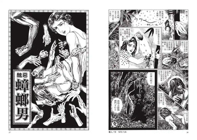 赤夜 平裝書 Paperback