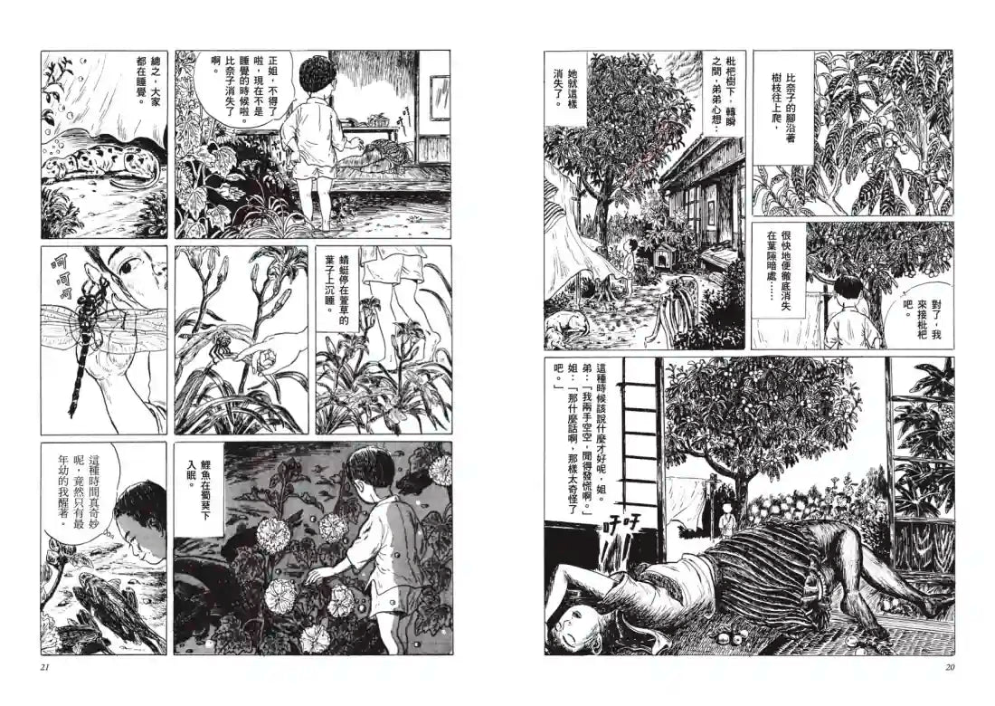 枇杷樹下 平裝書 Paperback