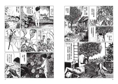 枇杷樹下 平裝書 Paperback