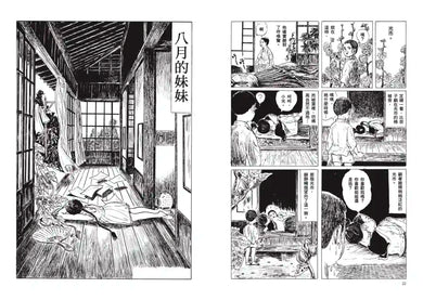 枇杷樹下 平裝書 Paperback