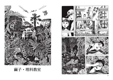 枇杷樹下 平裝書 Paperback
