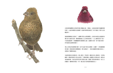 島嶼・鳥嶼 平裝書 Paperback