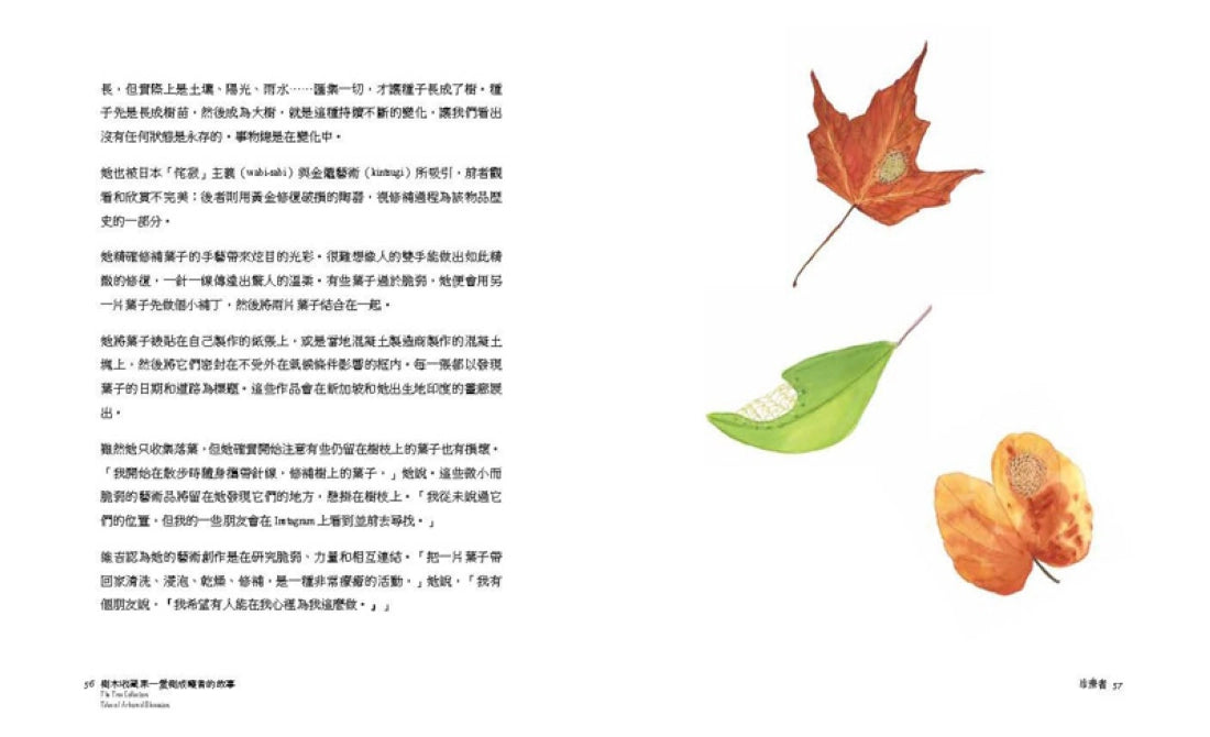樹木收藏家：愛樹成痴者的故事 平裝書 Paperback