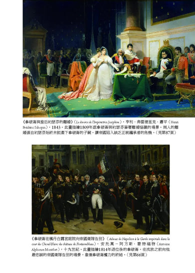 拿破崙 平裝書 Paperback
