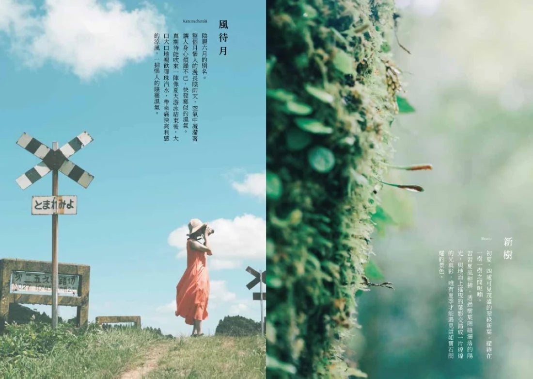 在雨夜尋找星星：最美的日本四季辭典 平裝書 Paperback