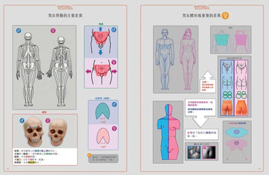 藝用3D人體解剖書：認識人體結構與造型 精裝書 Hardback