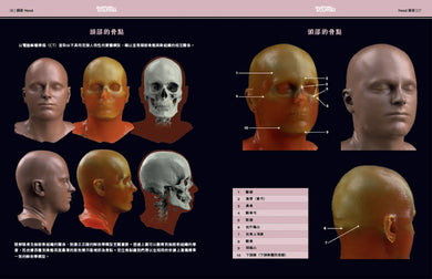 藝用3D頭頸解剖書—— 掌握頭頸的結構、造型與建模 精裝書 Hardback