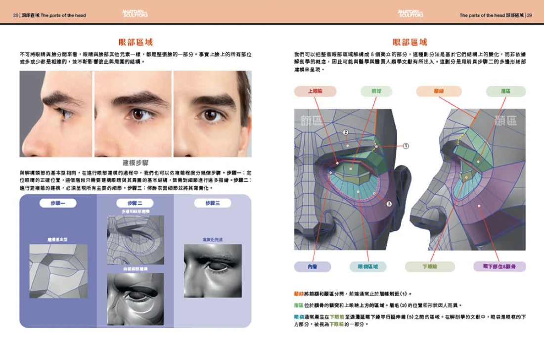 藝用3D頭頸解剖書—— 掌握頭頸的結構、造型與建模 精裝書 Hardback