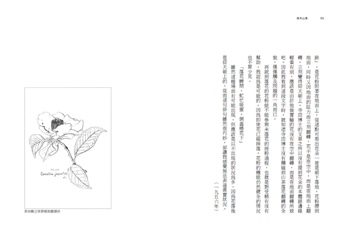 花與我的半生記 : 日本植物學之父牧野富太郎眼中花開葉落的奧祕、日常草木的樂趣 平裝書 Paperback
