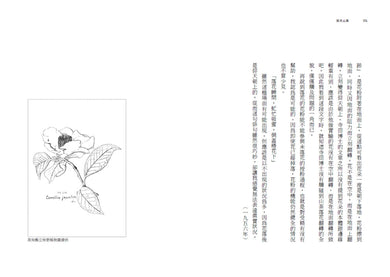花與我的半生記 : 日本植物學之父牧野富太郎眼中花開葉落的奧祕、日常草木的樂趣 平裝書 Paperback