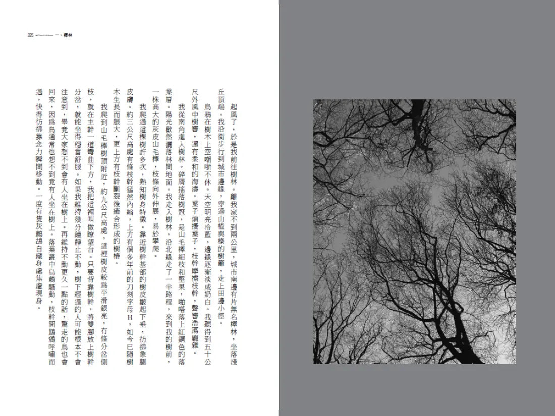 野性之境 平裝書 Paperback