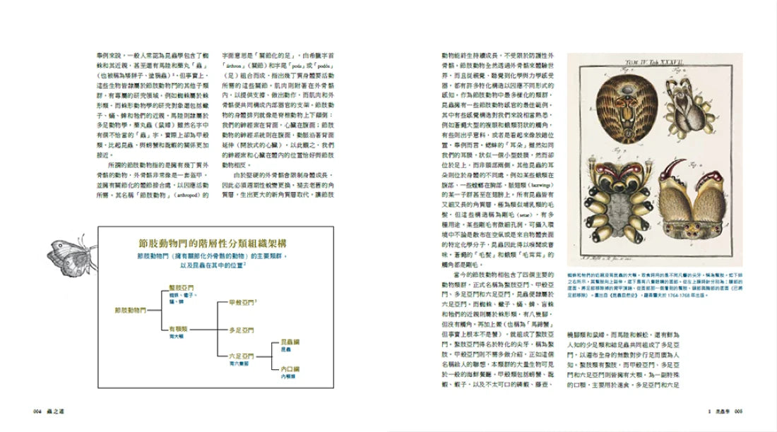 蟲之道：昆蟲的構造、行為和習性訴說的生命史詩 精裝書 Hardback