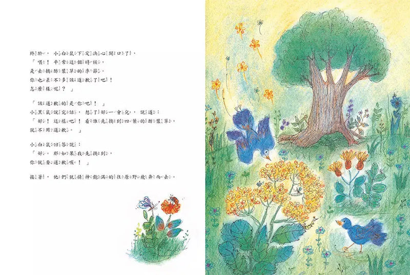 帶來幸福的酢漿草(仁科幸子)-故事: 兒童繪本 Picture Books-買書書 BuyBookBook