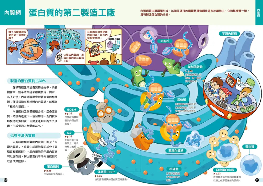 細胞城市大冒險（中小學生必備細胞生物學入門圖鑑） 平裝書 Paperback