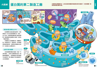 細胞城市大冒險（中小學生必備細胞生物學入門圖鑑） 平裝書 Paperback
