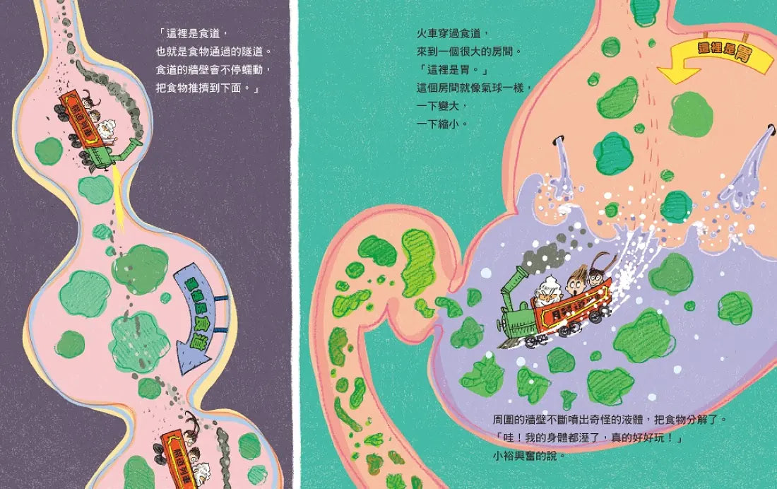 腸道列車噗噗噗（從口腔到肛門的消化道知識繪本） 精裝書 Hardback