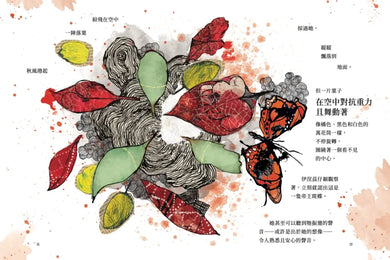 蝴蝶少女的奇幻旅程 精裝書 Hardback