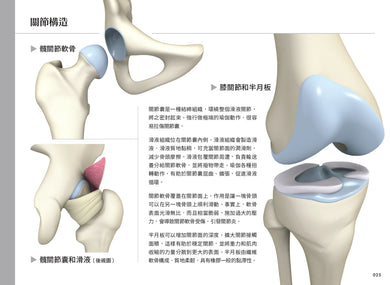 雷隆醫師的瑜伽解剖Ⅰ：關鍵肌肉 平裝書 Paperback