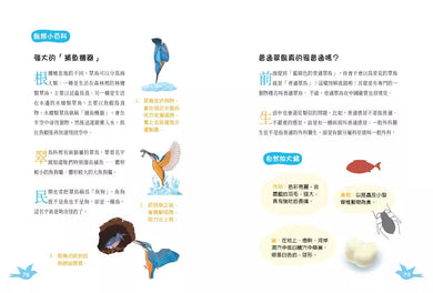 小白鷺為什麼排成一行飛？：古詩詞裡的自然常識 4【鳥類篇】-非故事: 動物植物 Animal & Plant-買書書 BuyBookBook