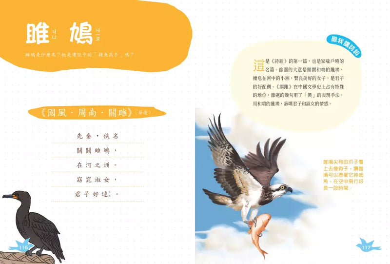 小白鷺為什麼排成一行飛？：古詩詞裡的自然常識 4【鳥類篇】-非故事: 動物植物 Animal & Plant-買書書 BuyBookBook