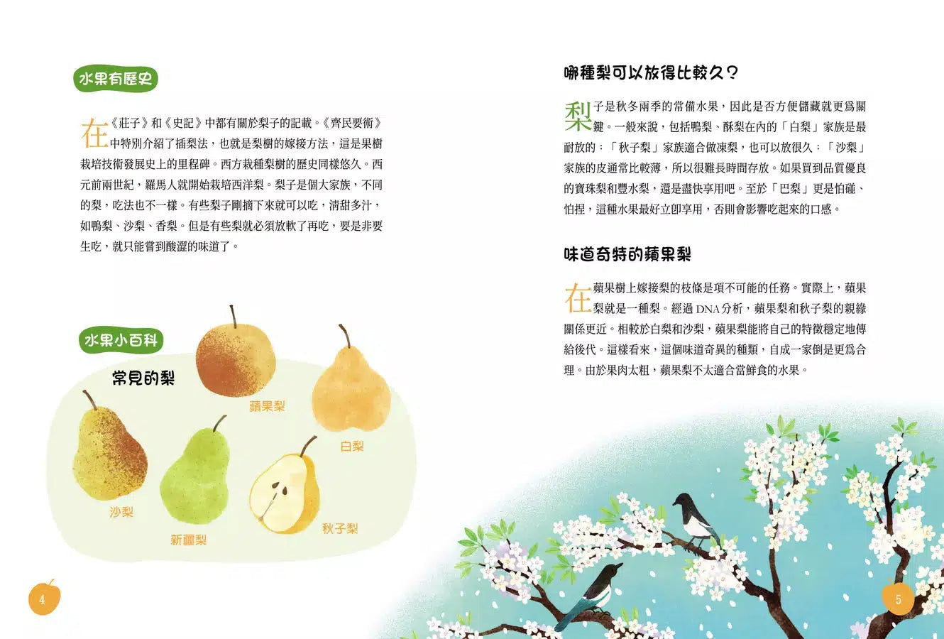 古詩詞裡的自然常識【套書】： 蔬菜．水果．昆蟲．鳥類，完全解答（全套4冊‧特別附贈給台灣孩子的四季自然觀察筆記）-非故事: 動物植物 Animal & Plant-買書書 BuyBookBook
