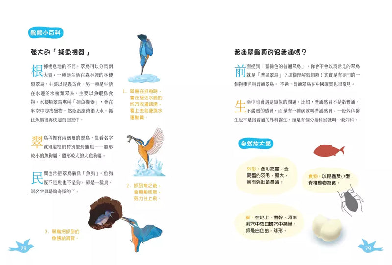 古詩詞裡的自然常識【套書】： 蔬菜．水果．昆蟲．鳥類，完全解答（全套4冊‧特別附贈給台灣孩子的四季自然觀察筆記）-非故事: 動物植物 Animal & Plant-買書書 BuyBookBook