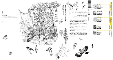 女農討山誌【二十週年經典版】（書衣海報特別收錄作者精緻山林繪、題字與雪劍山列圖） 平裝書 Paperback