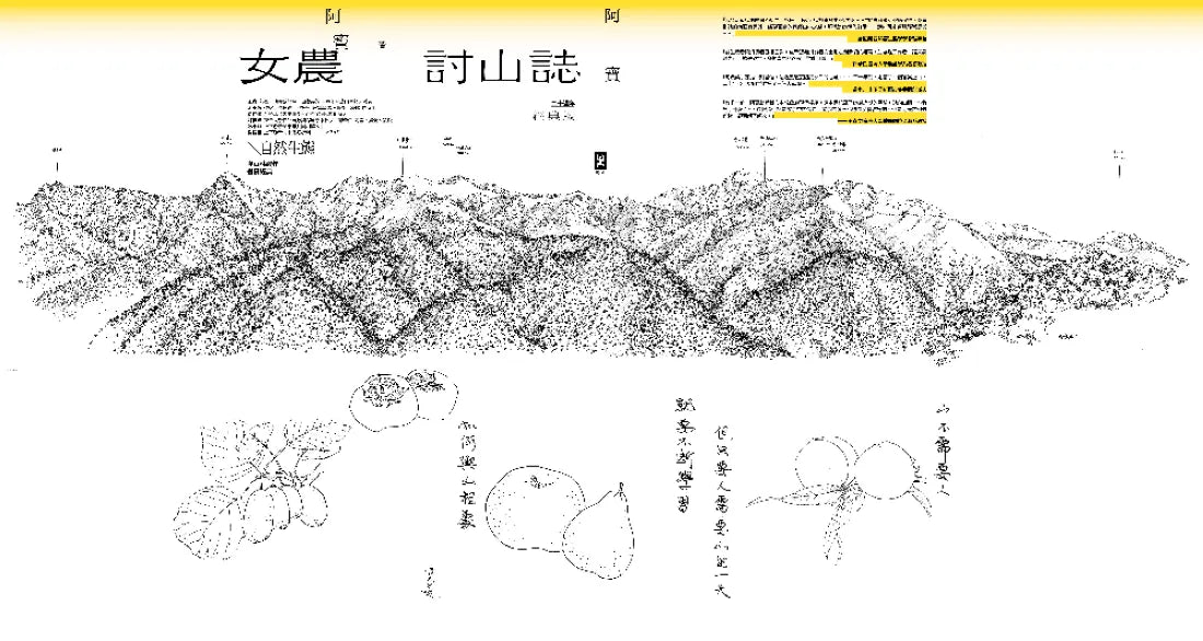 女農討山誌【二十週年經典版】（書衣海報特別收錄作者精緻山林繪、題字與雪劍山列圖） 平裝書 Paperback