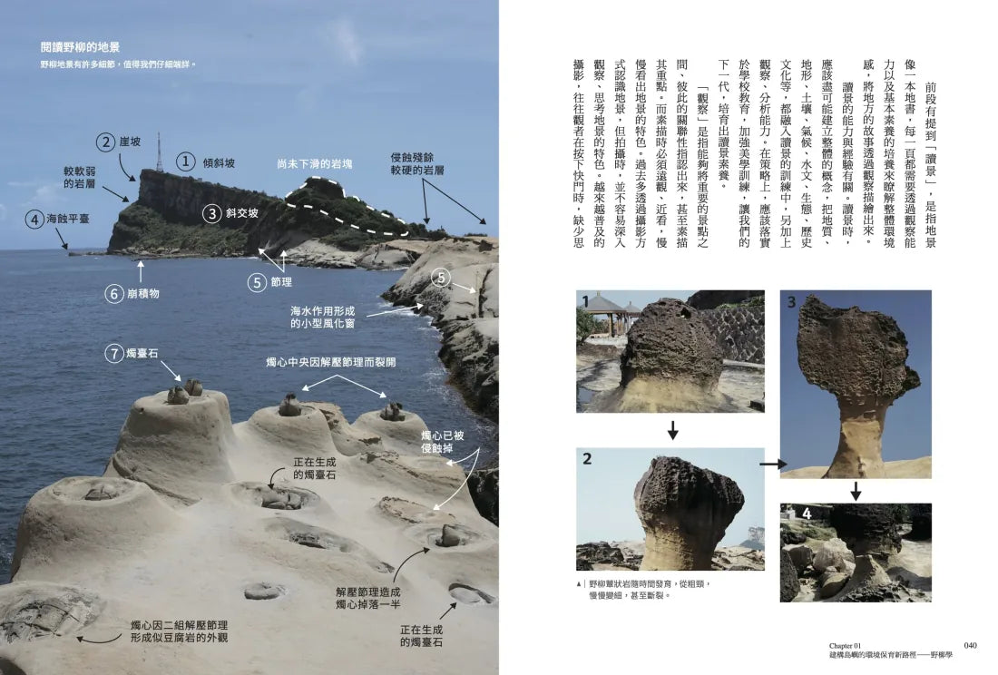野柳學：走向未來的臺灣——21世紀環境觀與永續實踐 平裝書 Paperback