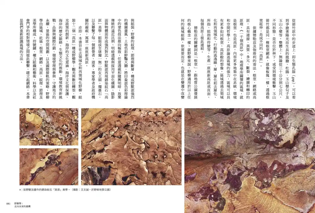 野柳學：走向未來的臺灣——21世紀環境觀與永續實踐 平裝書 Paperback