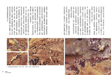 野柳學：走向未來的臺灣——21世紀環境觀與永續實踐 平裝書 Paperback