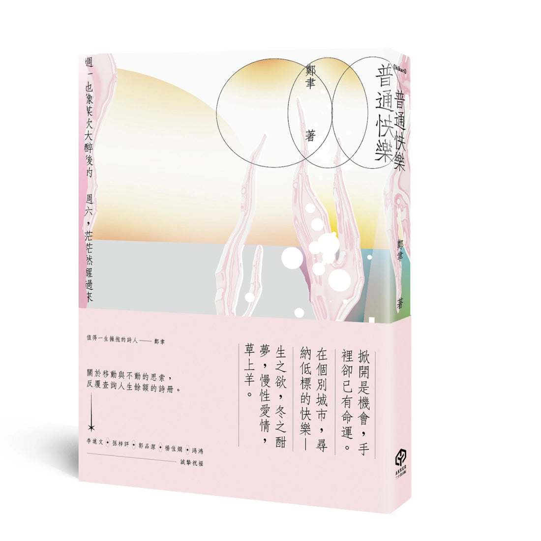 普通快樂 平裝書 Paperback