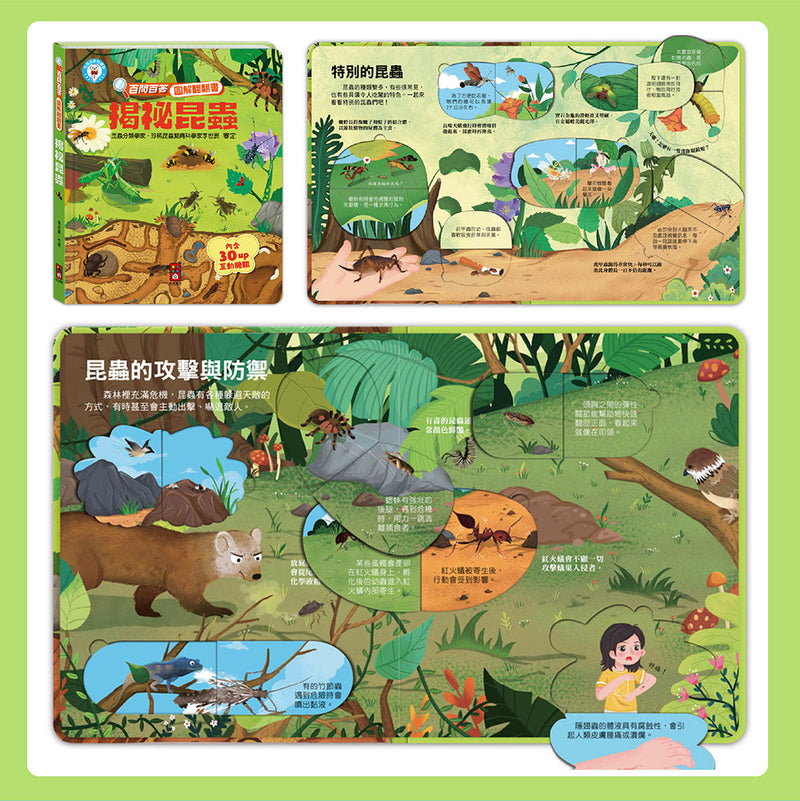 百問百答圖解翻翻書(全套10冊)