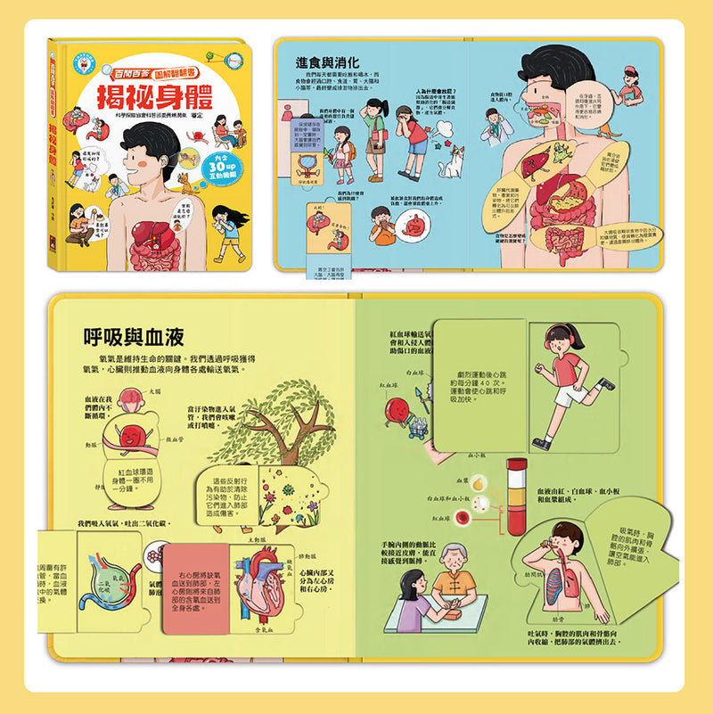 百問百答圖解翻翻書(全套10冊)