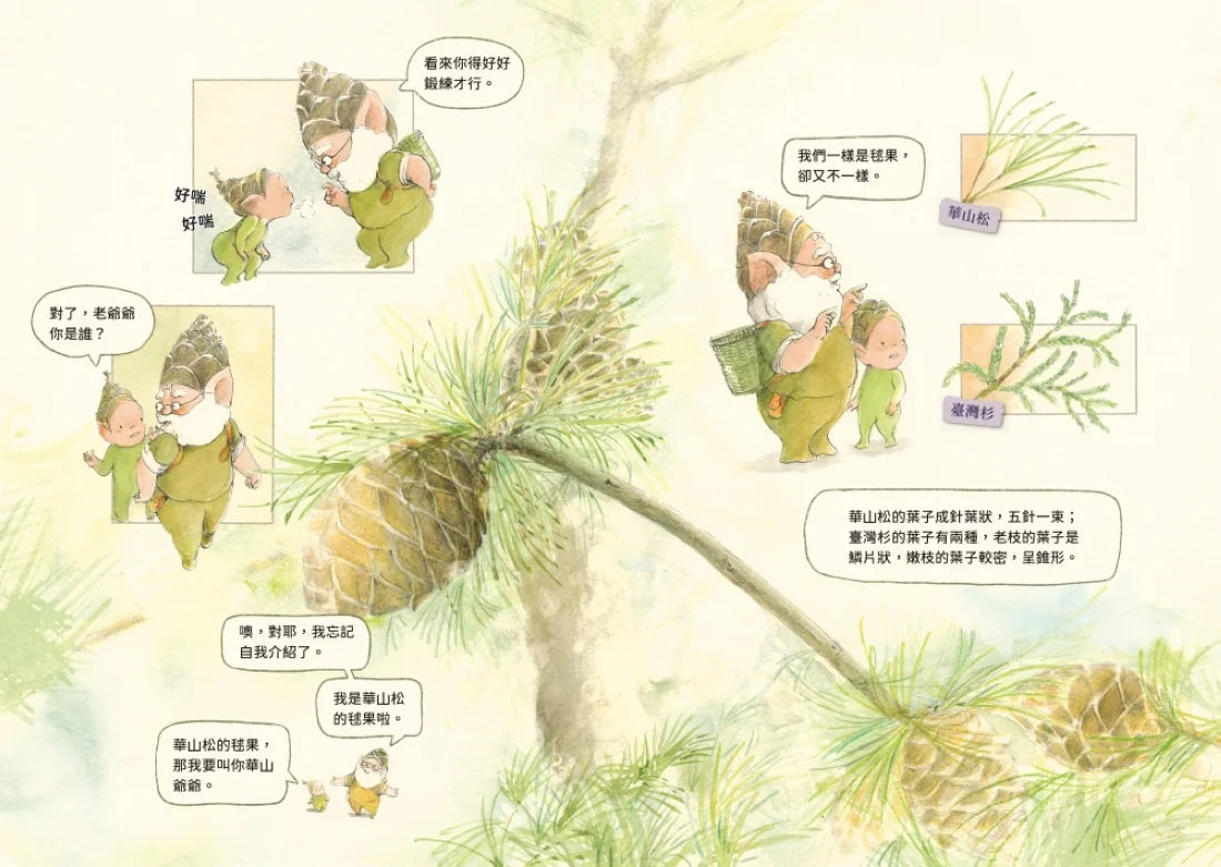 撞到月亮的樹：曙光 精裝書 Hardback
