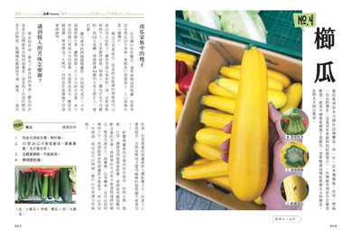菜市場的一年：100種少婦好吃驚的蔬菜採買攻略 平裝書 Paperback