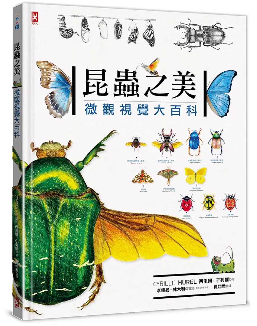 昆蟲之美：微觀視覺大百科 精裝書 Hardback