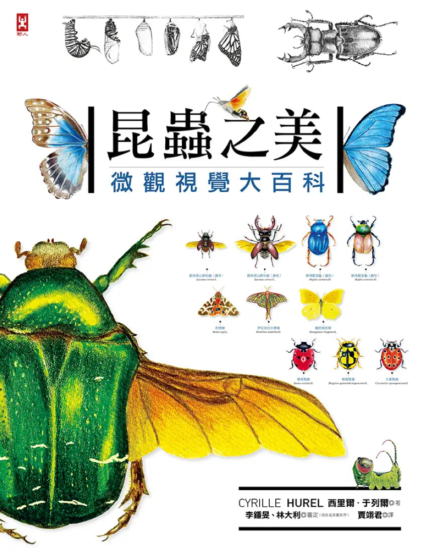 昆蟲之美：微觀視覺大百科 精裝書 Hardback