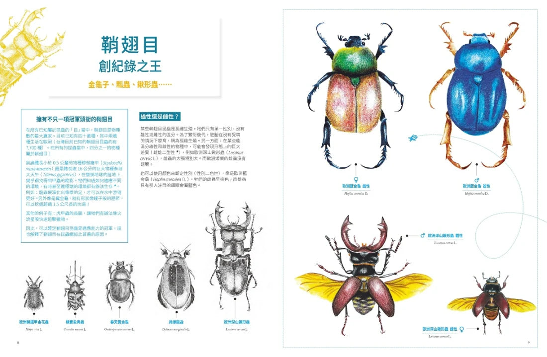 昆蟲之美：微觀視覺大百科 精裝書 Hardback