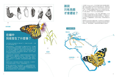 昆蟲之美：微觀視覺大百科 精裝書 Hardback