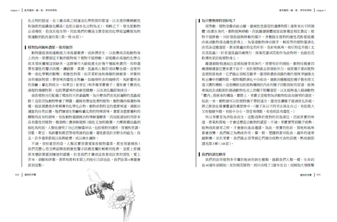 食物與廚藝2：蔬、果、香料、穀物（二版） 平裝書 Paperback