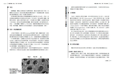 食物與廚藝3：麵食、醬料、甜點、飲料（二版） 平裝書 Paperback