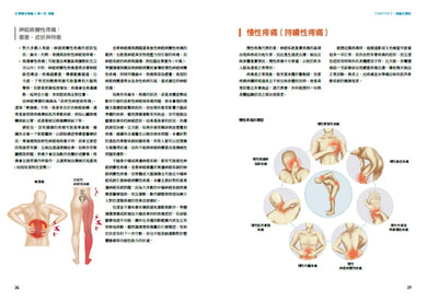 從辨傷到解痛：聆聽身體訊號，以復健科學和運動處方打破疼痛與反覆受傷的無助循環 平裝書 Paperback