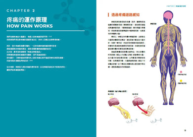 從辨傷到解痛：聆聽身體訊號，以復健科學和運動處方打破疼痛與反覆受傷的無助循環 平裝書 Paperback
