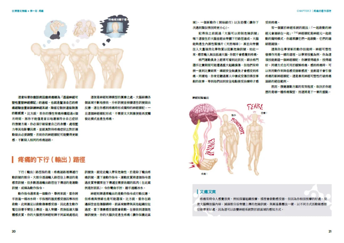 從辨傷到解痛：聆聽身體訊號，以復健科學和運動處方打破疼痛與反覆受傷的無助循環 平裝書 Paperback