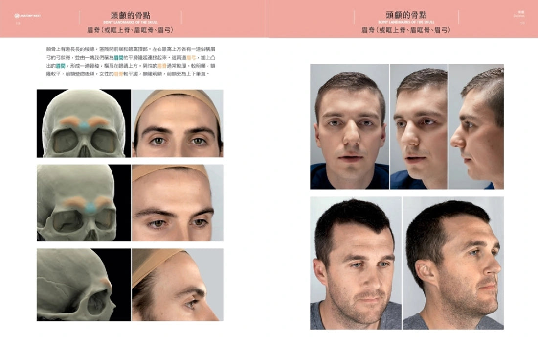 藝用3D表情解剖書：透視五官表情的結構與造型 精裝書 Hardback