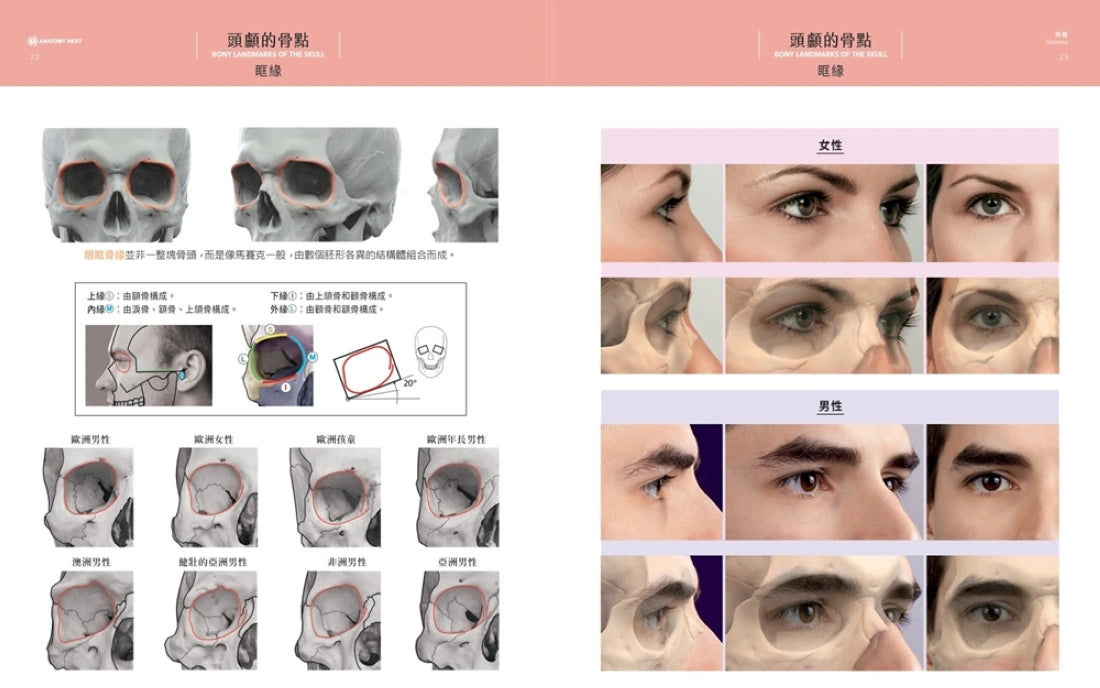 藝用3D表情解剖書：透視五官表情的結構與造型 精裝書 Hardback