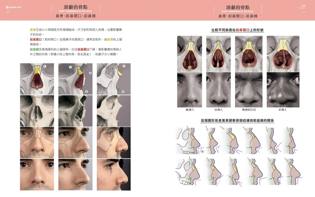 藝用3D表情解剖書：透視五官表情的結構與造型 精裝書 Hardback